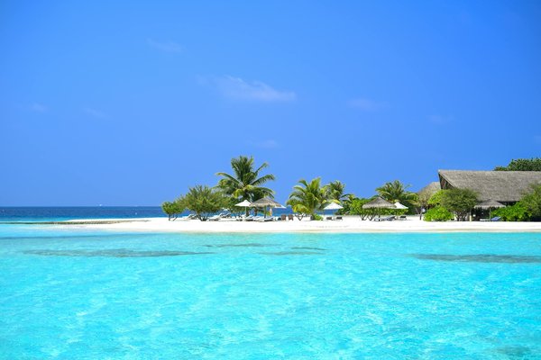 Embarquement et débarquement avec Royal Caribbean : guide complet